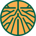 Root